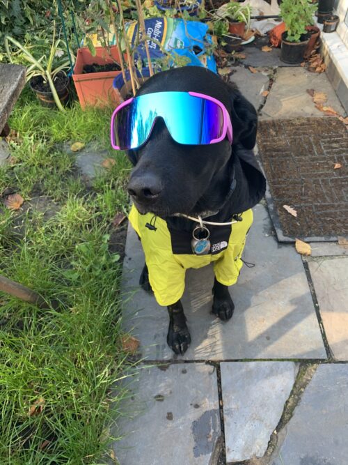 Ozzy looking a dude with the new Panda Optics Conquer Lenses. Review of the Panda Optics Conquer sports lenses,