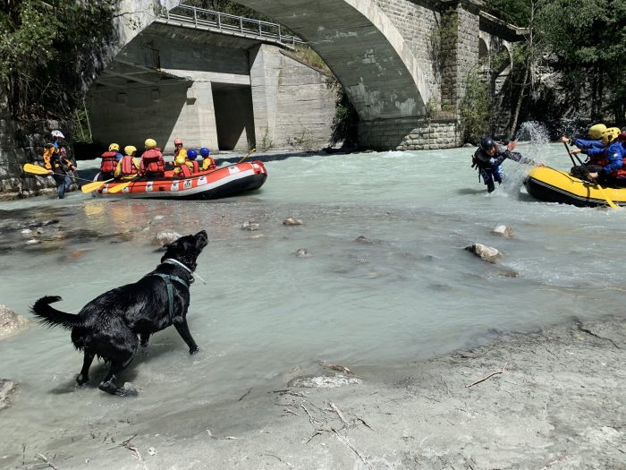 Rafting in the Dora Baltea river, while Ozzy has a dip in the frozen water. Photo: The-Ski-Guru. Summary of a non-season, and how things are looking now for a summer in the mountains.