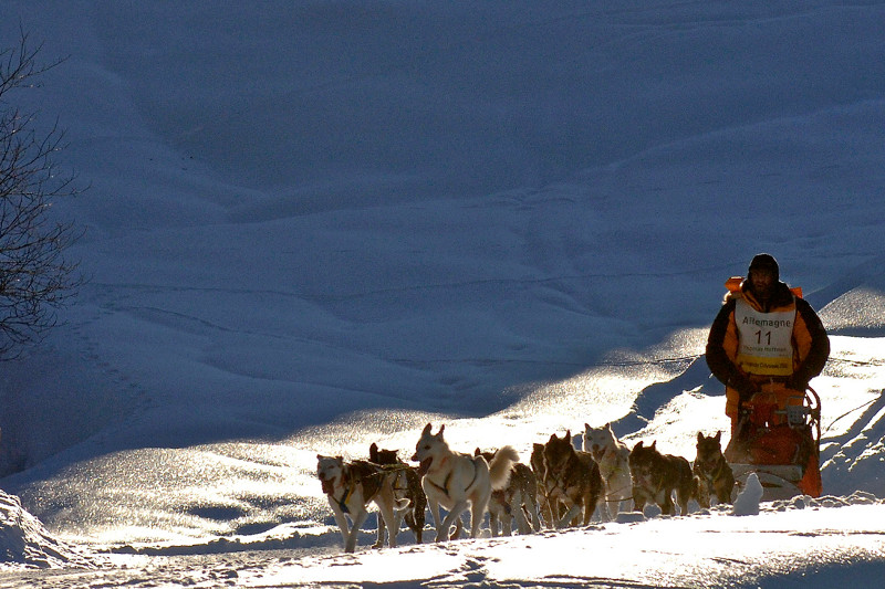 La Grande Odyssée, dog sled race. Photo: LGO/J M Baud/ Auvergne Rhône Alpes Tourisme. 