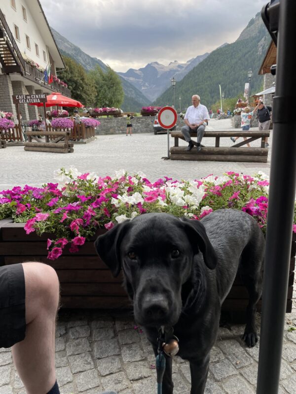 We've stopped for a coffee and admire the views of Cogne. Cogne is renowned for its cross country skiing. It has a mountain with a couple of lifts an some alpine skiing, but it is very small. The cross country here is superb. Our trip to the mountains for our summer holidays. 