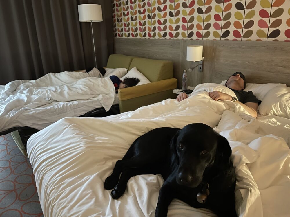 It is always an ordeal to wake up on the 2nd day of our trip.... And Ozzy always takes the best part of the bed! Our trip to the mountains for our summer holidays.