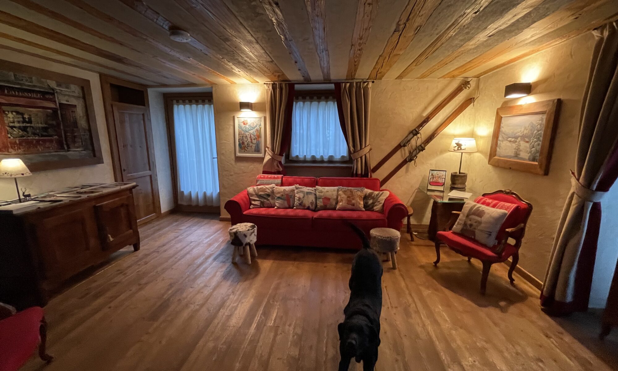 Ozzy at home after a long trip from London to Morgex in the Italian Alps. Getting an European Passport for your Pet to travel to Europe? Not for everyone!