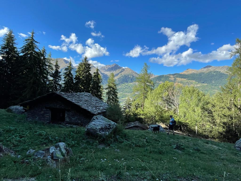 The views from a Sentiero up from Chabodey, up from La Salle in the Aosta Valley. Photo: The-Ski-Guru