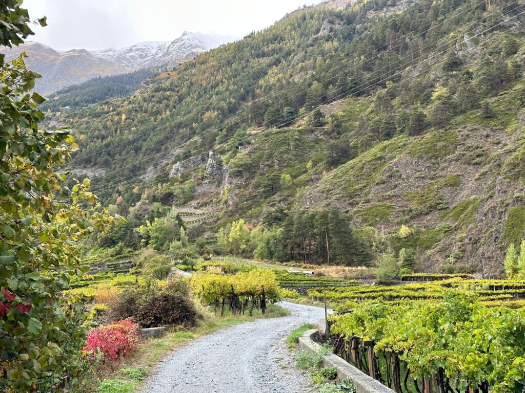 Tsantamerla on an October rainy day. Photo: The-Ski-Guru