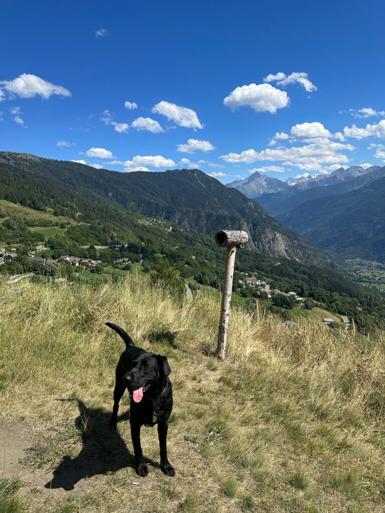 Ozzy enjoying the path from Challancin to Morge. Photo: The-Ski-Guru