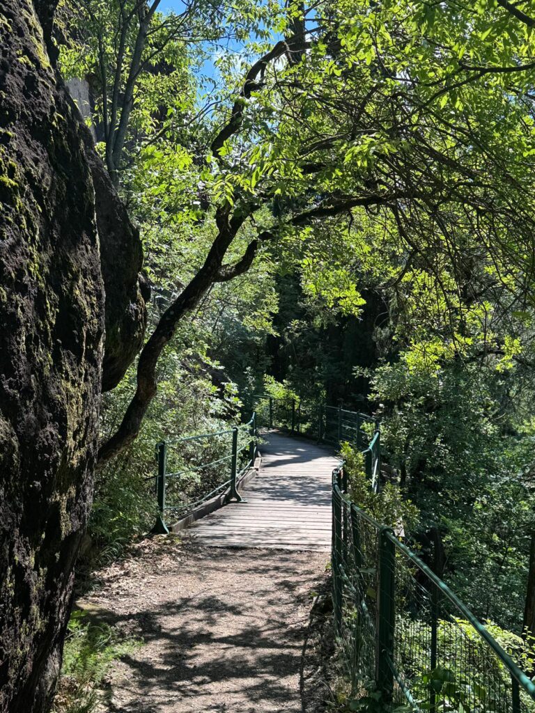Promenade St Osvaldo, a nice way to walk by the vineyards and have the views of Bolzano. Photo The-Ski-Guru.